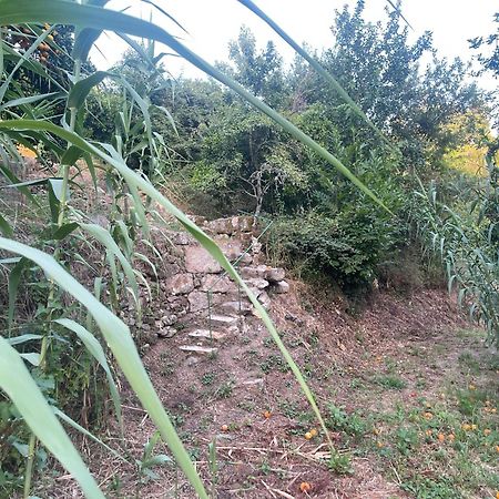 Nascente, Place In Nature Next To A Waterfall Loureiro  外观 照片