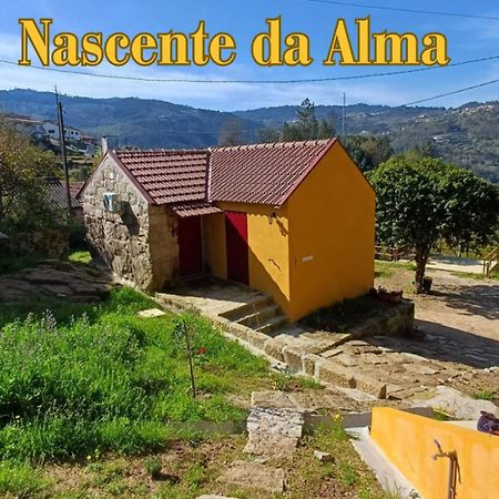 Nascente, Place In Nature Next To A Waterfall Loureiro  外观 照片