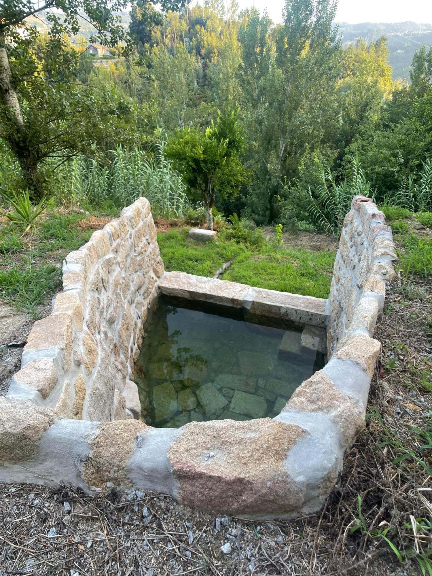 Nascente, Place In Nature Next To A Waterfall Loureiro  外观 照片