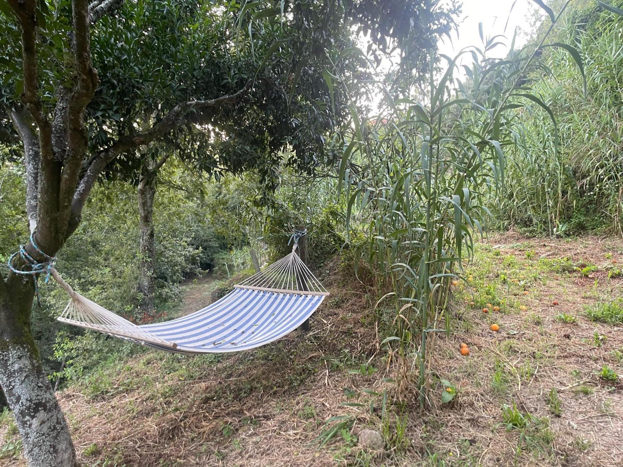 Nascente, Place In Nature Next To A Waterfall Loureiro  外观 照片