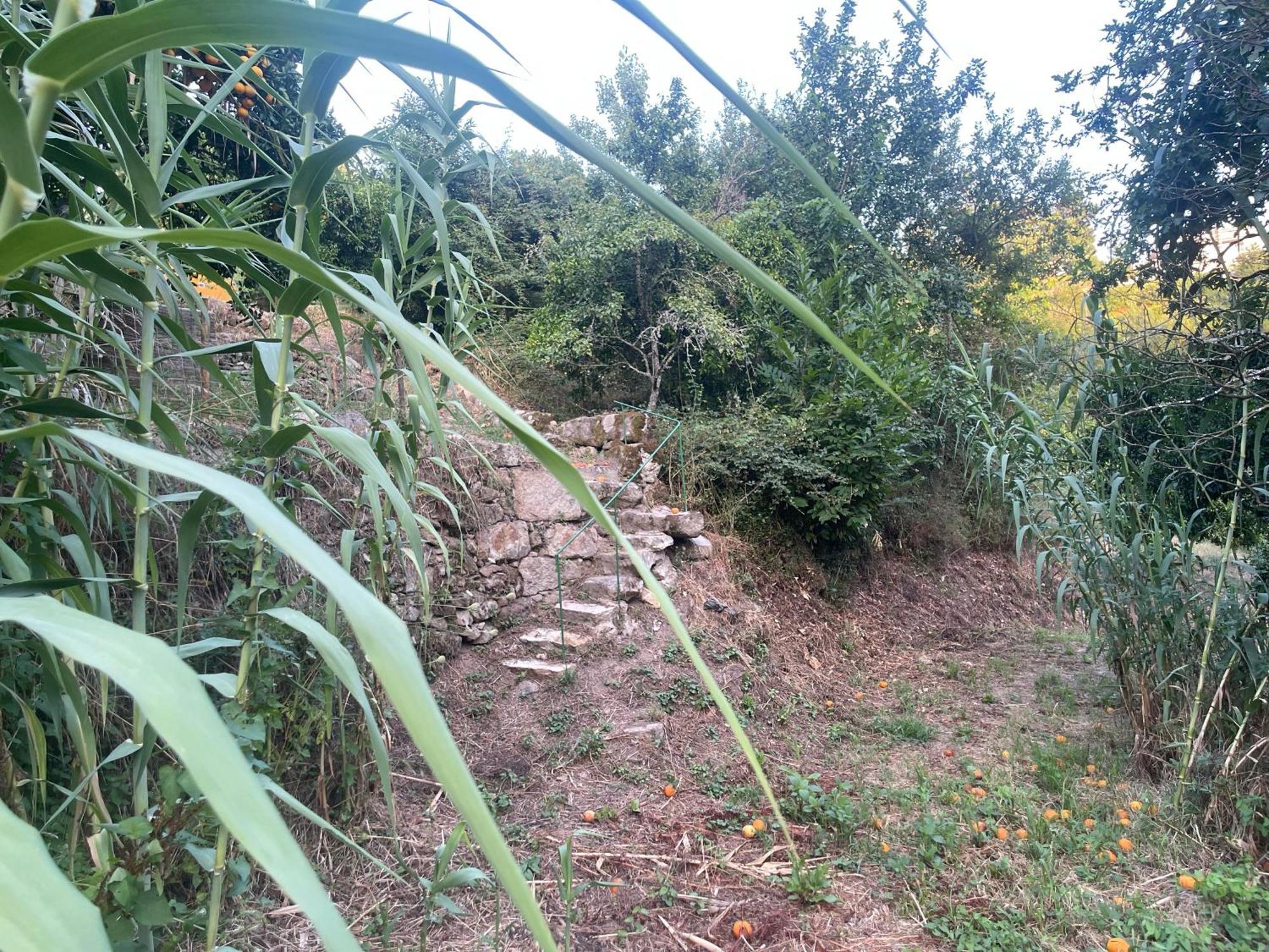 Nascente, Place In Nature Next To A Waterfall Loureiro  外观 照片
