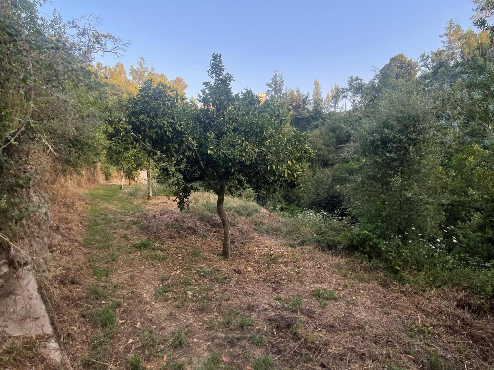 Nascente, Place In Nature Next To A Waterfall Loureiro  外观 照片